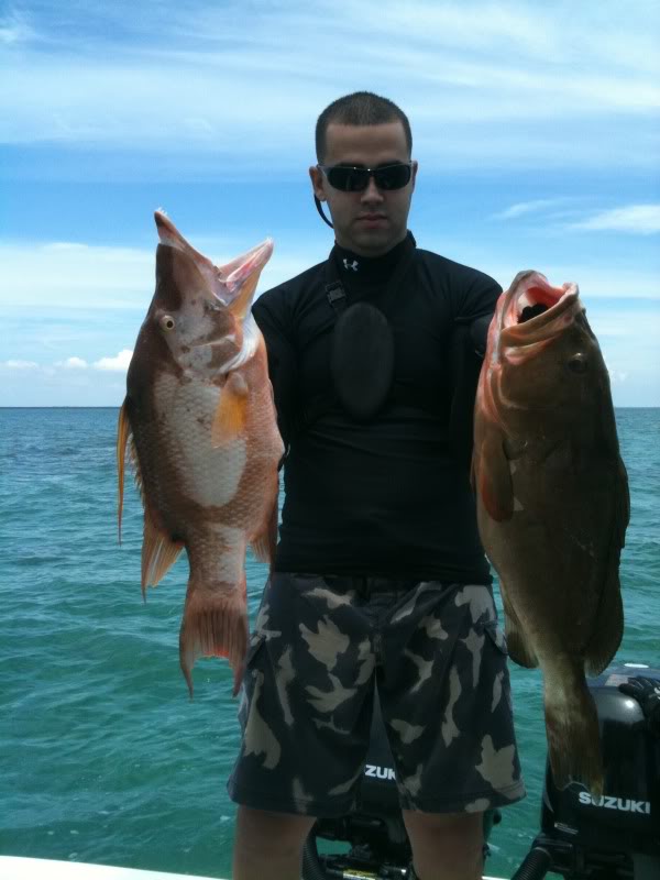 Hogfish and red grouper