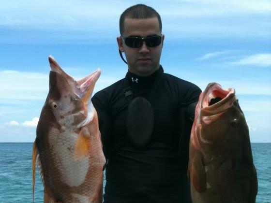 Hogfish and red grouper