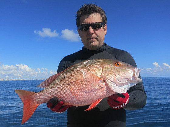 2013 Miami spearfishing