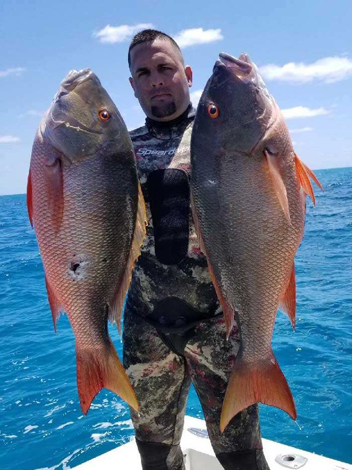 Speardiver Reef 3mm Spearfishing Wetsuit Mutton Snappers