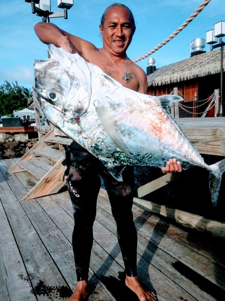 AP 37lbs