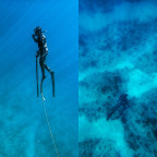 Mark and I freediving off Hwd.