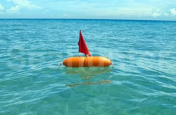 DIY float with flag - Floats Floatlines - Spearfishing World forum
