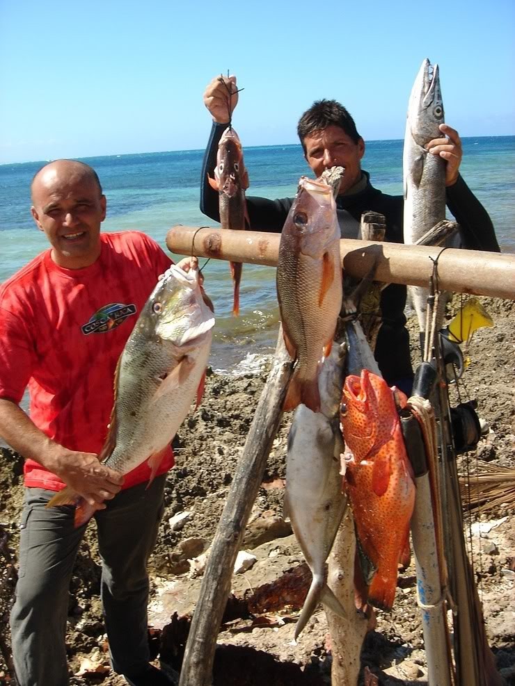 Cayman Islands interesting spearfishing regulations - Caribbean -  Spearfishing World forum