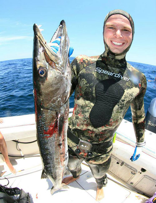 spearfishing-wetsuit-speardiver-reef-barracuda.jpg