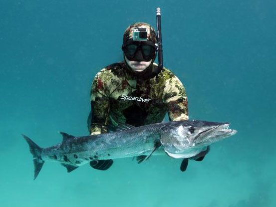 spearfishing-wetsuit-speardiver-reef-barracuda2.jpg